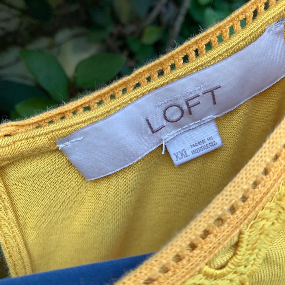 Loft Sleeveless Lace and Stretch T Shirt - Picture 5 of 7